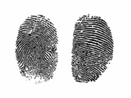 Fingerprint